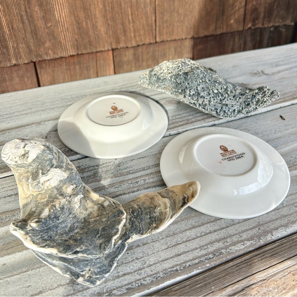 Set of 2 Vintage Wedgwood English Bone China Peony Floral Charnwood Ashtrays. - Picture 5 of 11